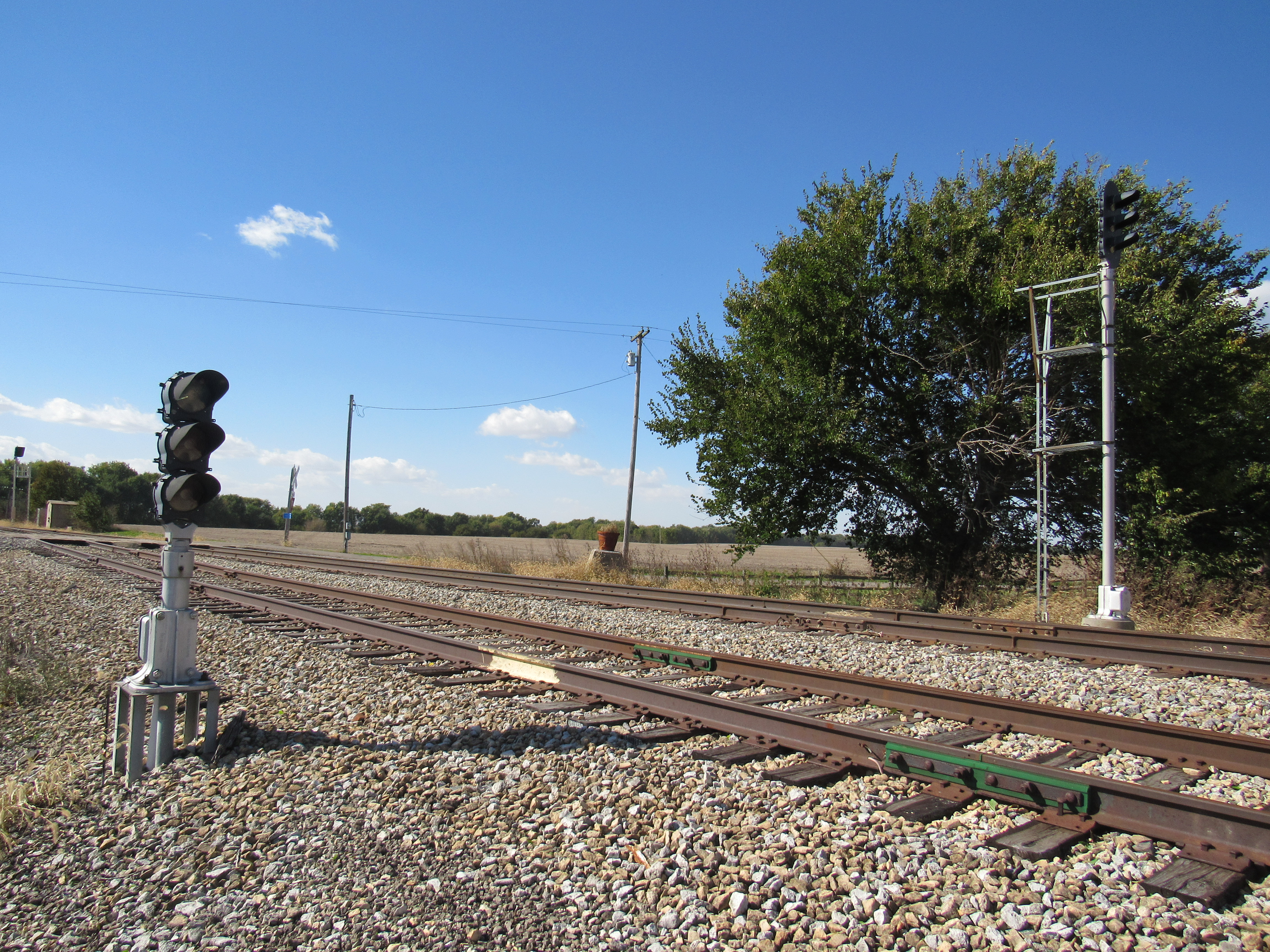 Dwarf Signal & Tall Signal