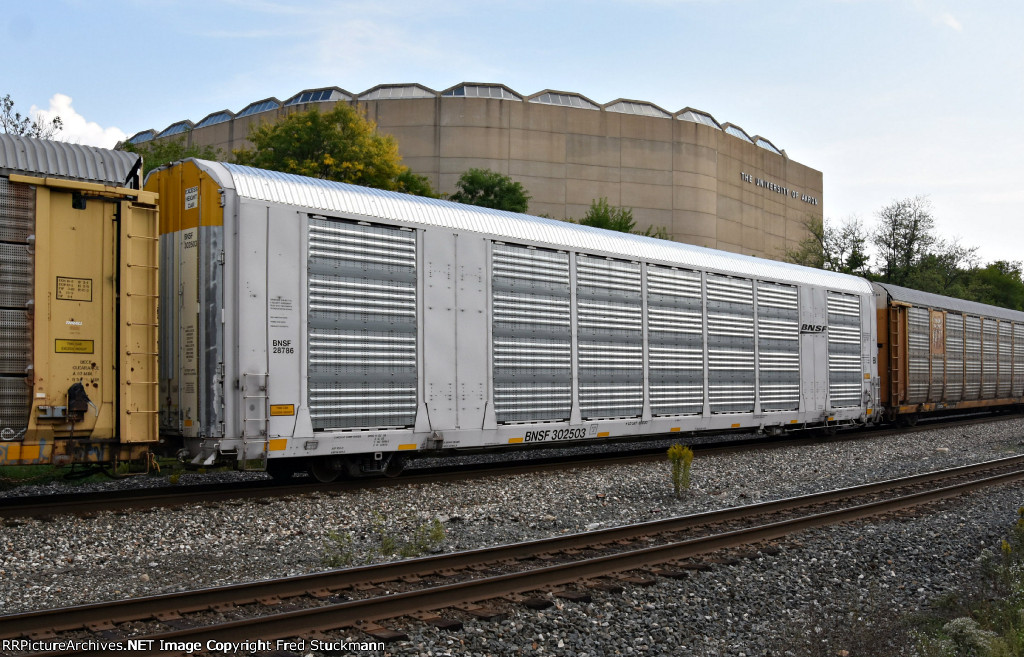 Both are new to rrpa.