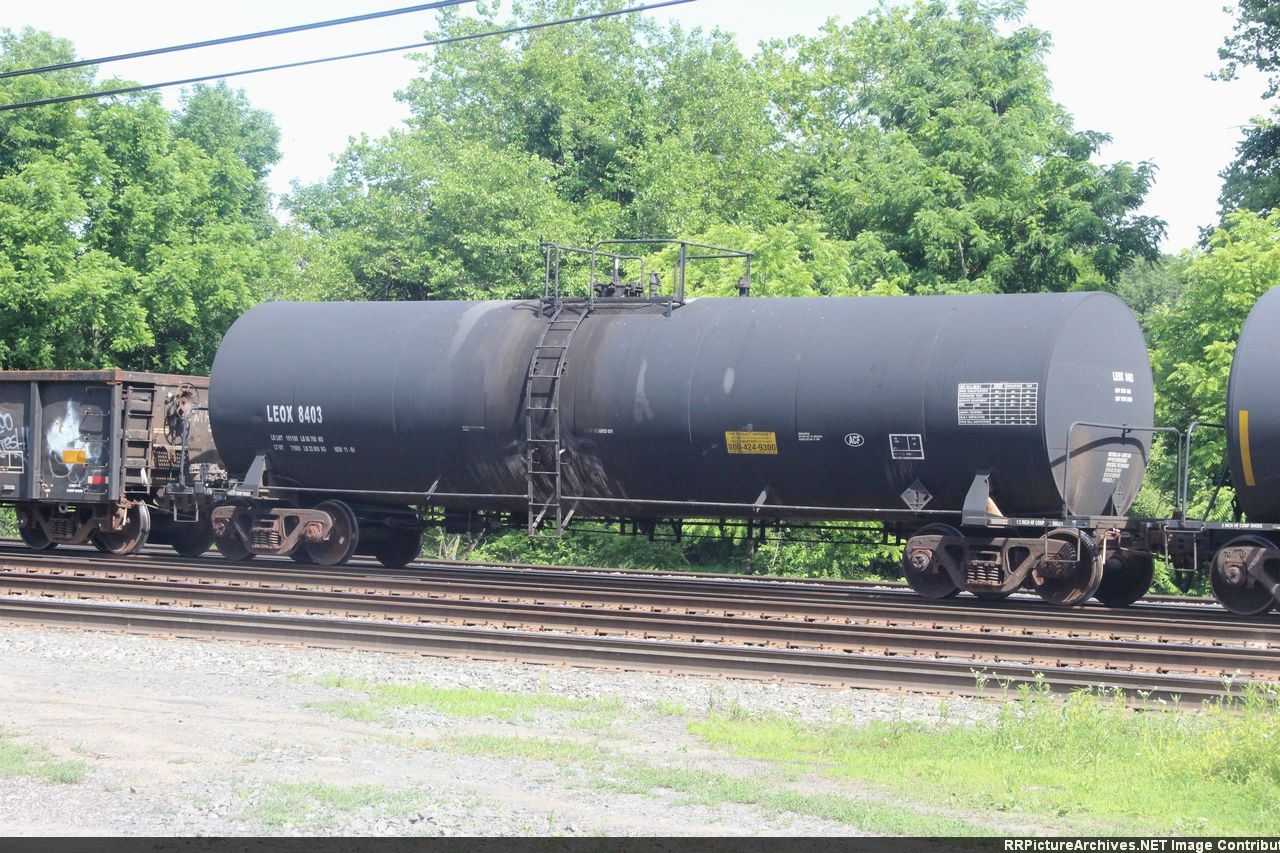 LEOX 8403