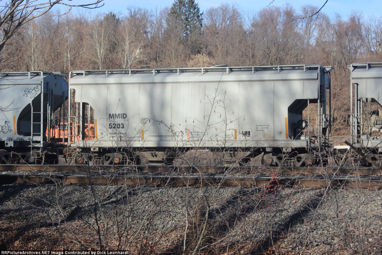 MMID 5203
