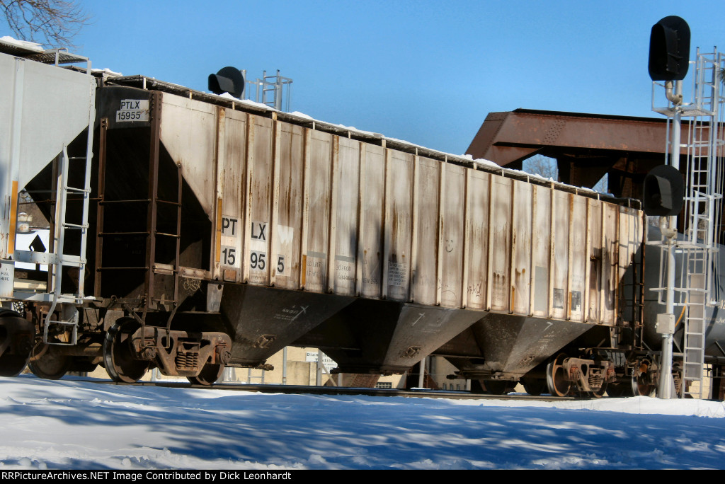 PTLX 15955