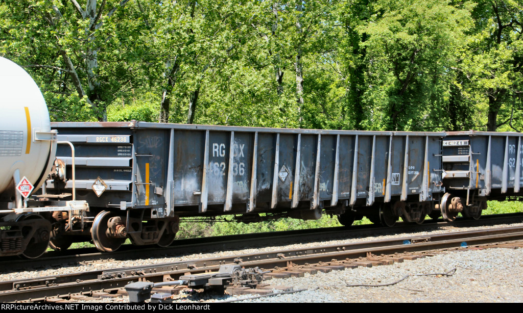 RGCX 46236