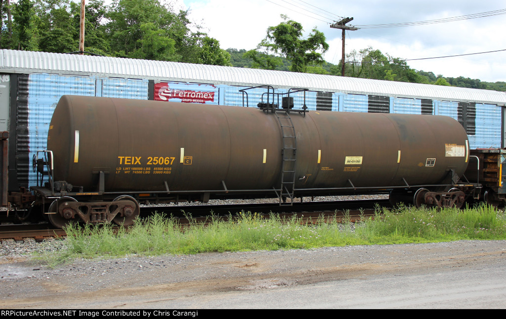 TEIX 25067