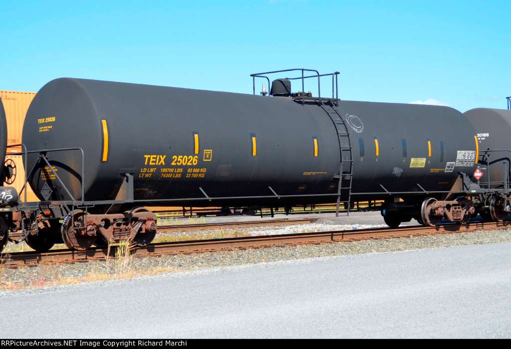 TEIX 25026