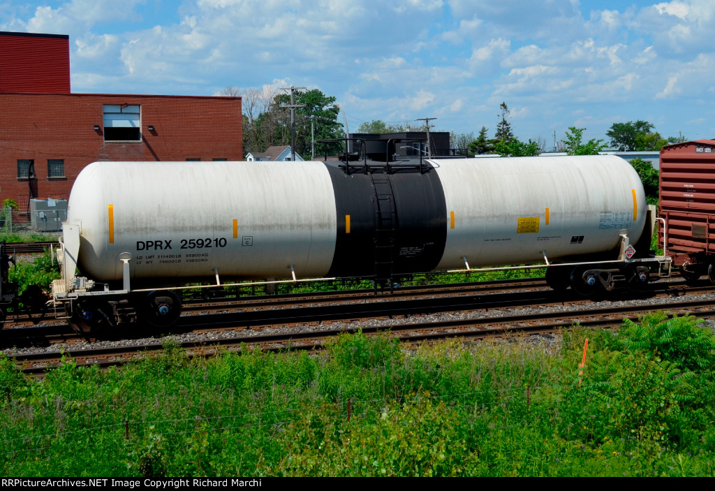 DPRX 259210