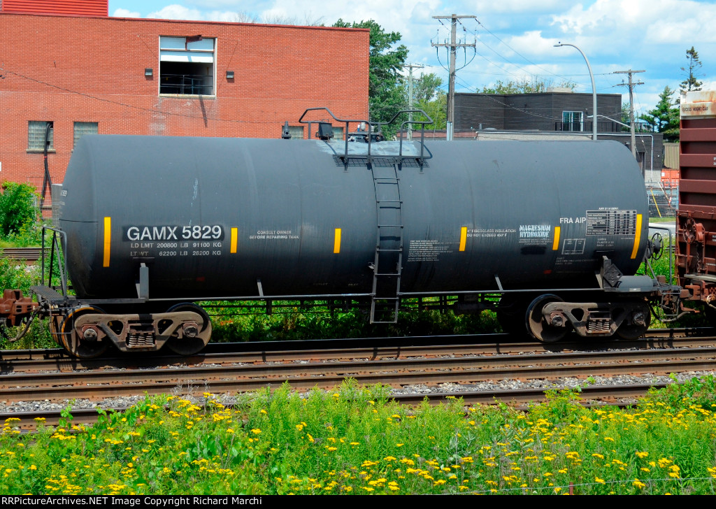 GAMX 5829