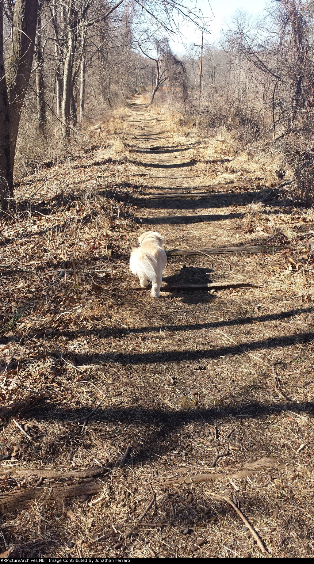 PRR Newtown Square Branch