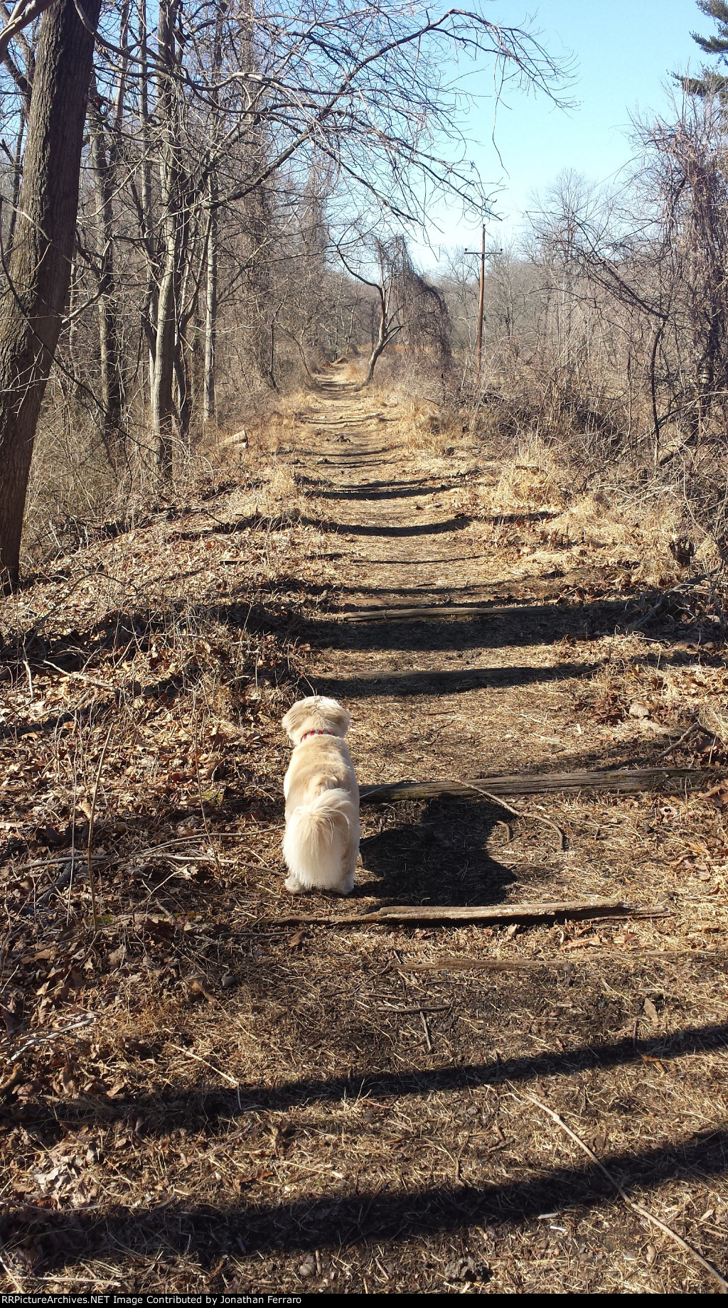 PRR Newtown Square Branch