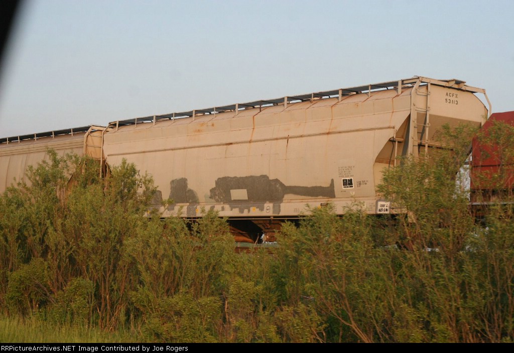 ACFX 53113