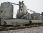 Hoppers & Grain Elevator