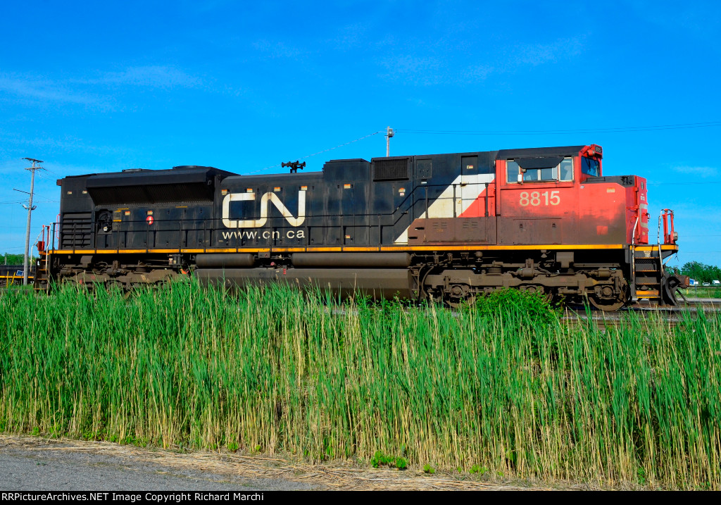 CN 8815