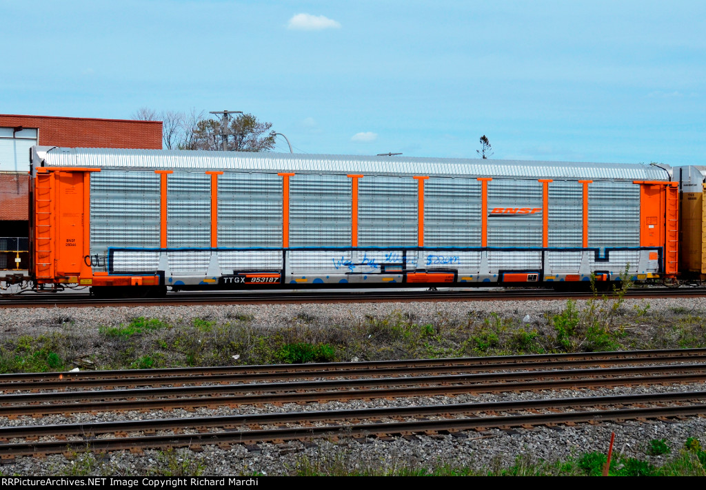 TTGX 953187