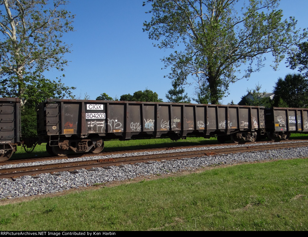 CIGX 804203