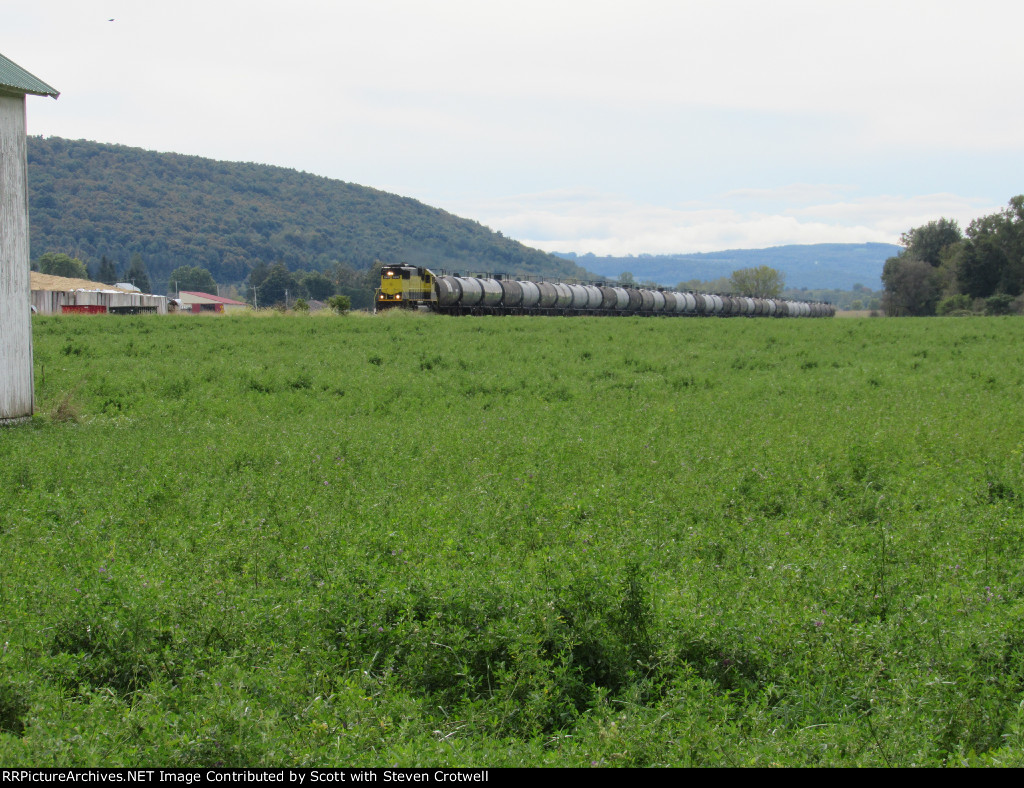 Looking across the field (2)