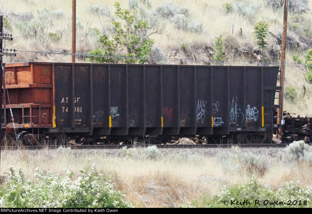ATSF 74081