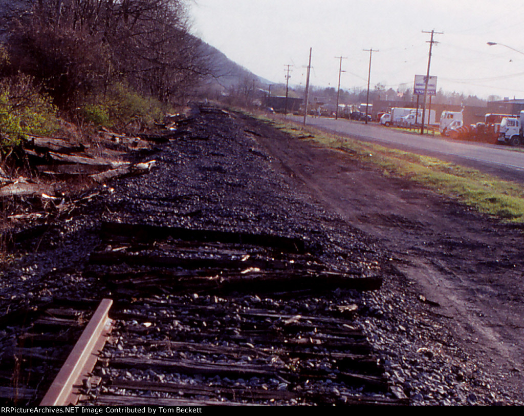 Sycamore Rd looking west.