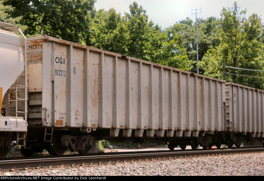 CIGX 803213