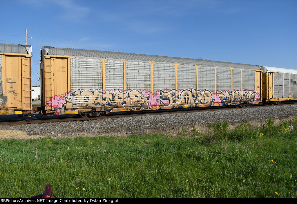 TTGX 851081