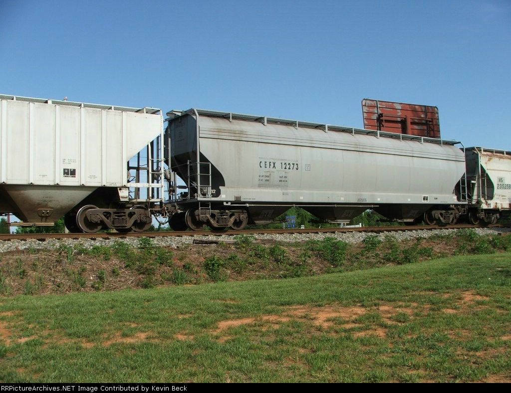 CEFX 12273