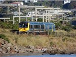 Waikanae to Wellington Metlink Service