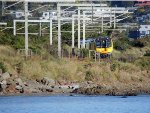 Waikanae to Wellington Metlink Service