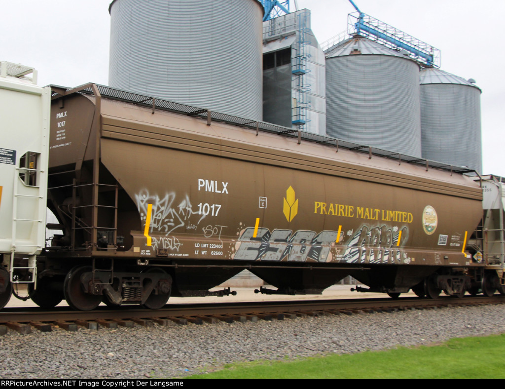 PMLX 1017