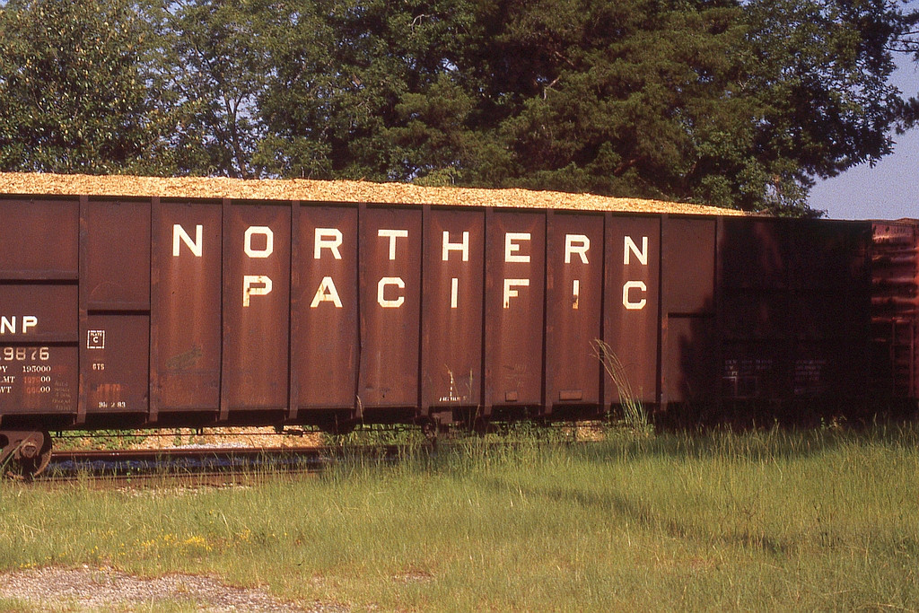 NP 119876 a long way from home