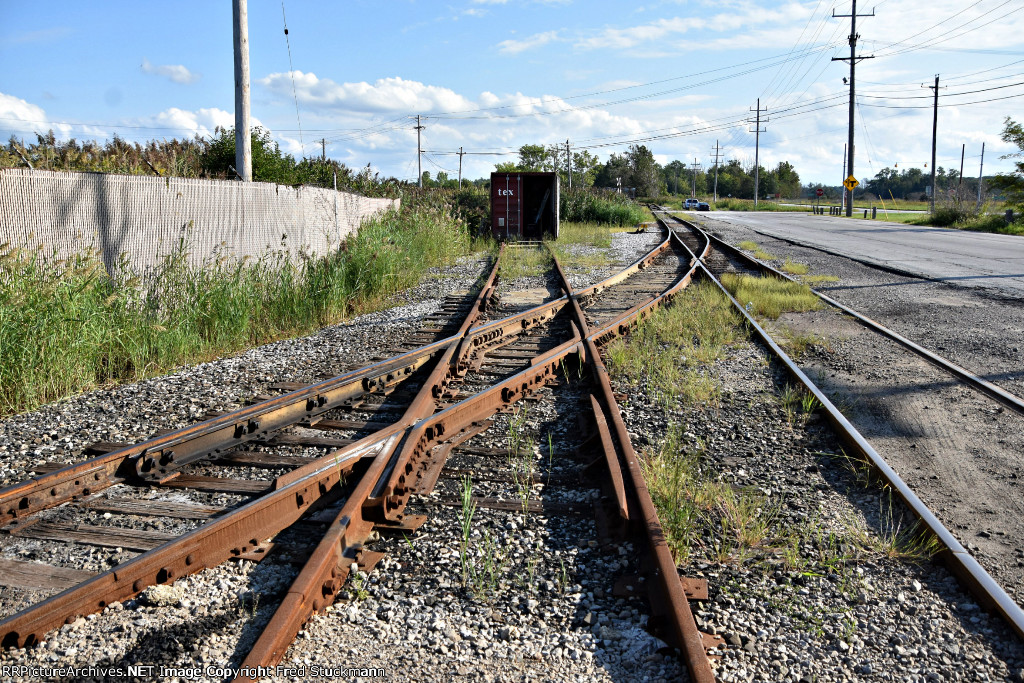 Diamond in the rough.