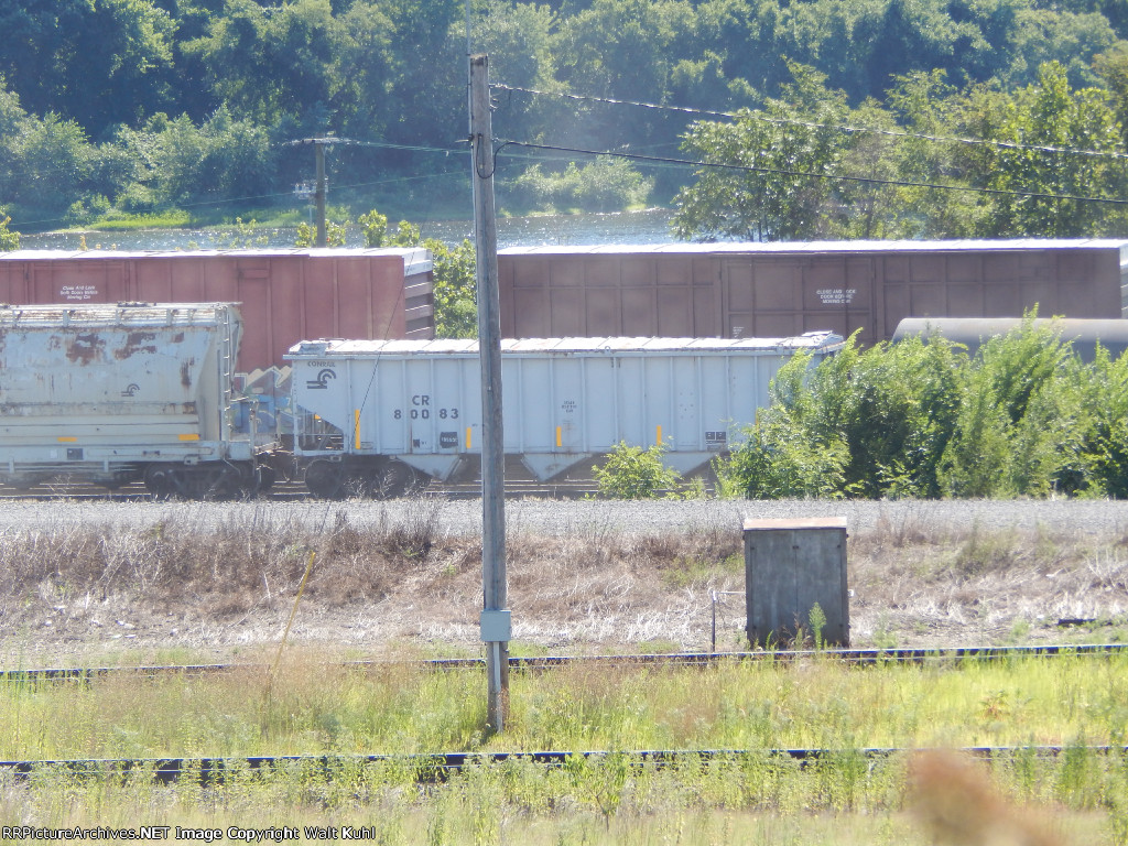 CR 80083
