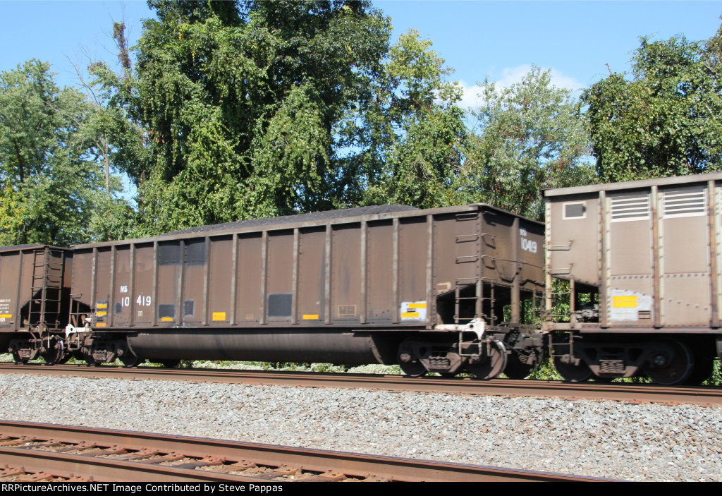 NS 10419