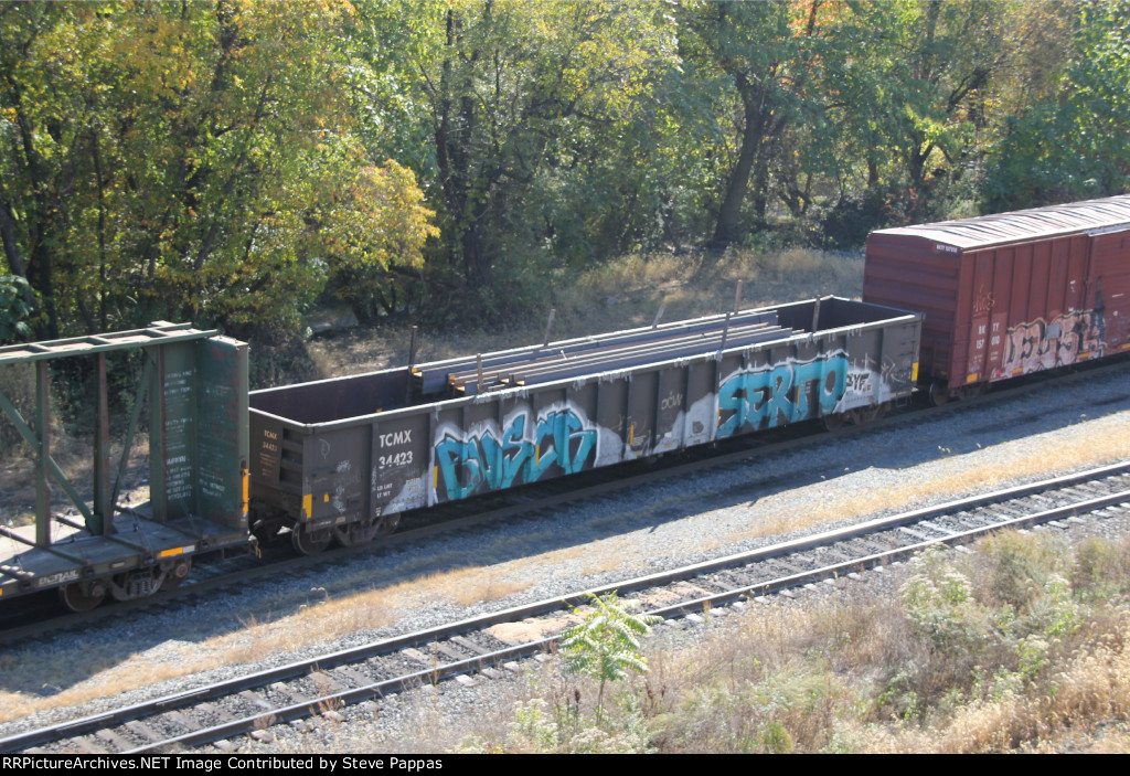 TCMX 34423