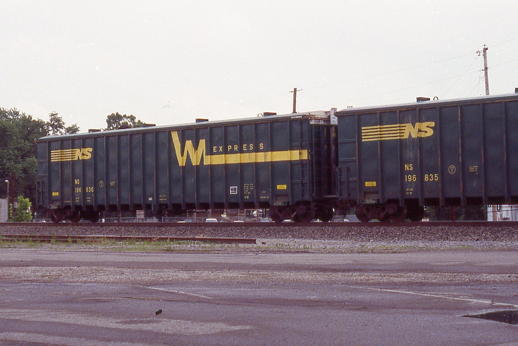 NS 196836 and 196835 shortly before the logo was removed