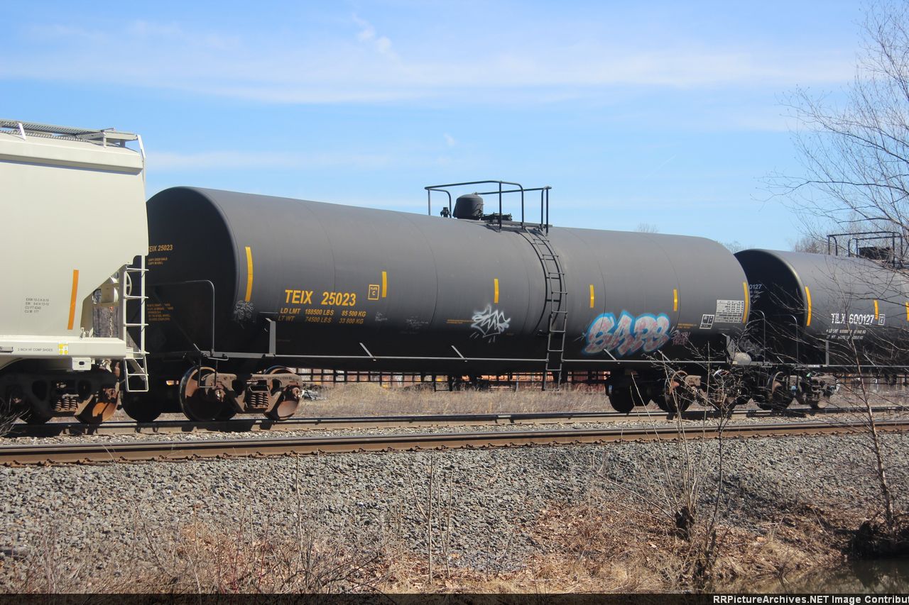TEIX 25023