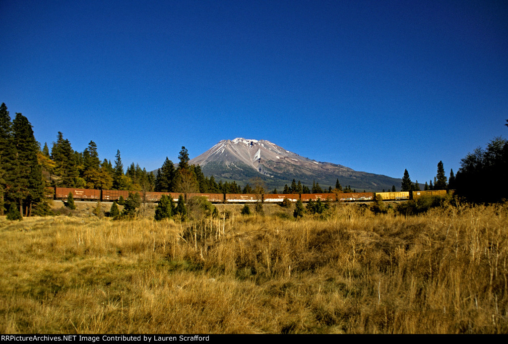 Mount Shasta & stored SP Woodchip Hoppers