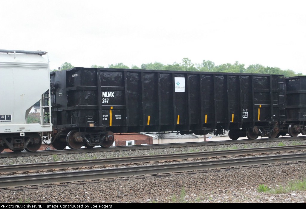 MLMX 247