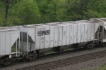NS 252196