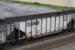 NS 26498