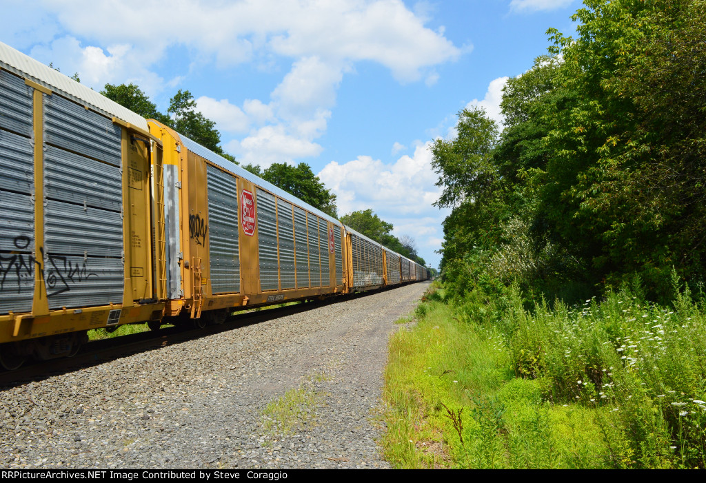 TTGX 696376 IS NEW TO RRPA