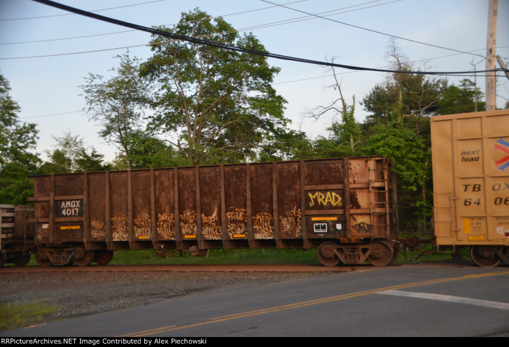 AMGX 4017