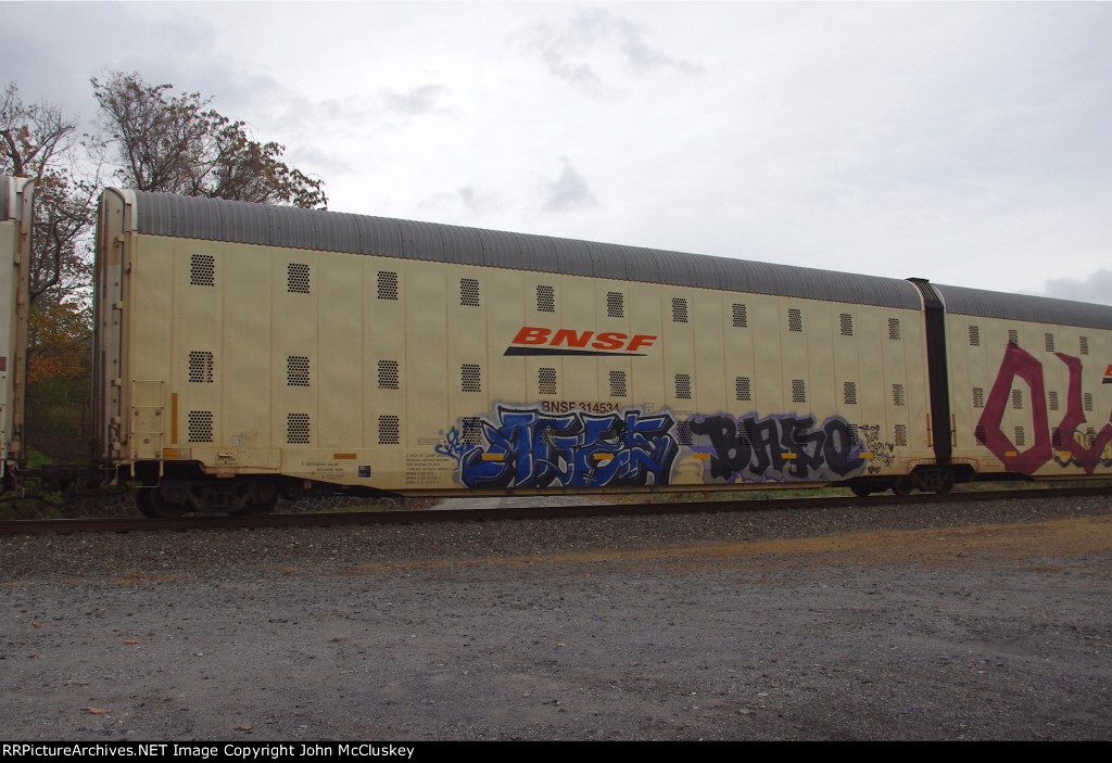 BNSF 314534