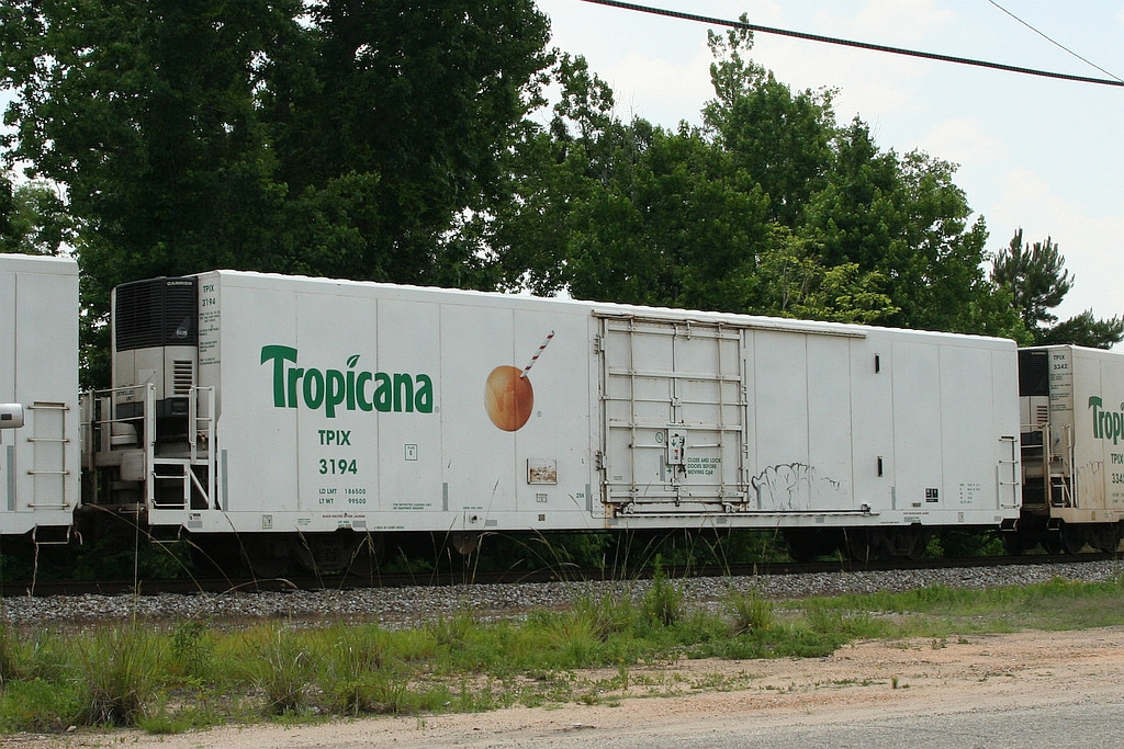 TPIX 3194