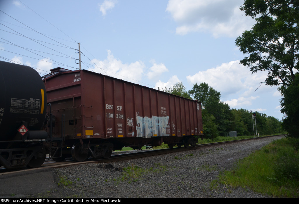 BNSF 808236