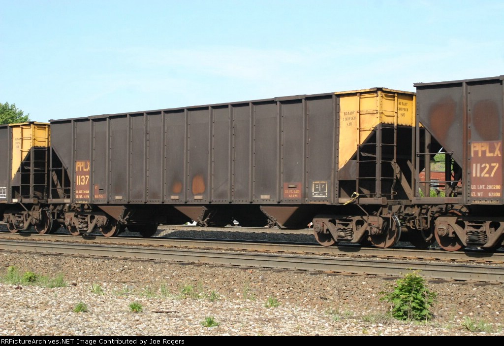 PPLX 1137
