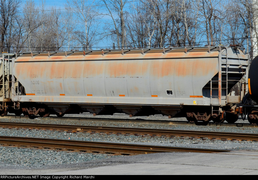 NCUX 50136