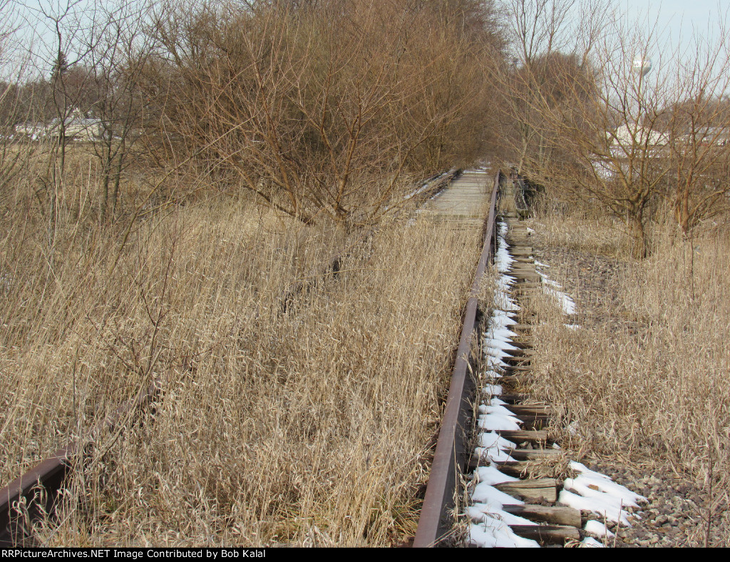 Cissna Park, IL, C&EI Railroad Track looking West