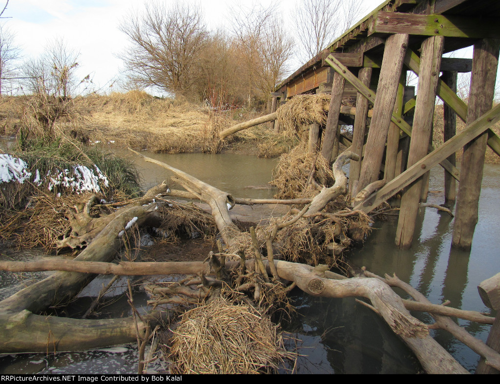 Cissna Park, IL, C&EI Railroad Trestle