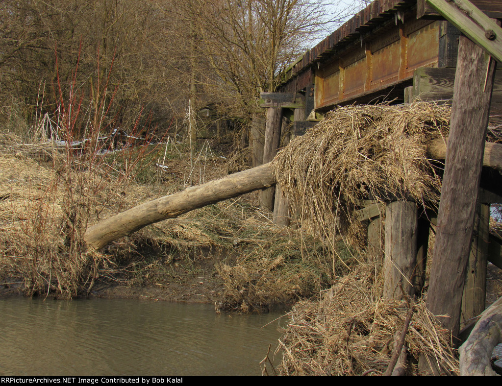 Cissna Park, IL, C&EI Railroad Trestle