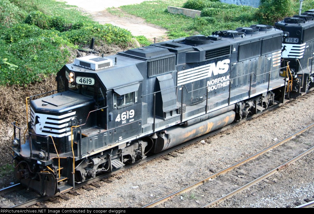 Raggy 4619 leads 349