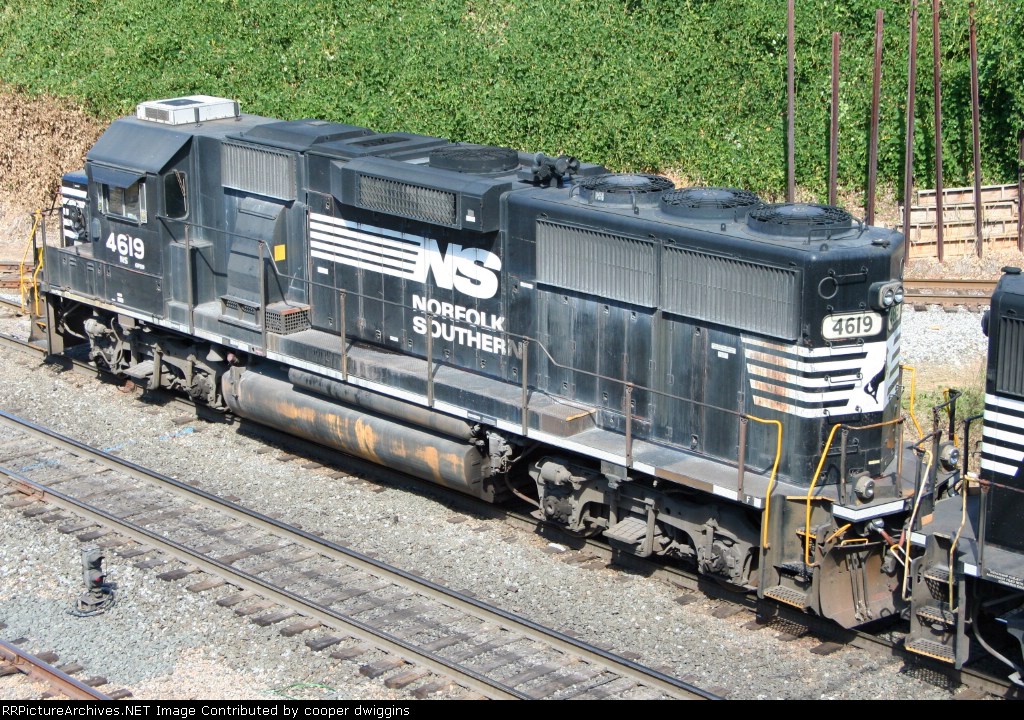 Raggy looking 4619 leads 349