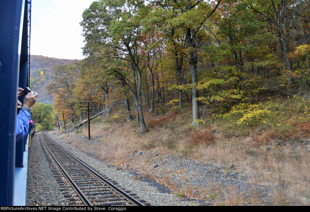 Three Old Telephone Poles